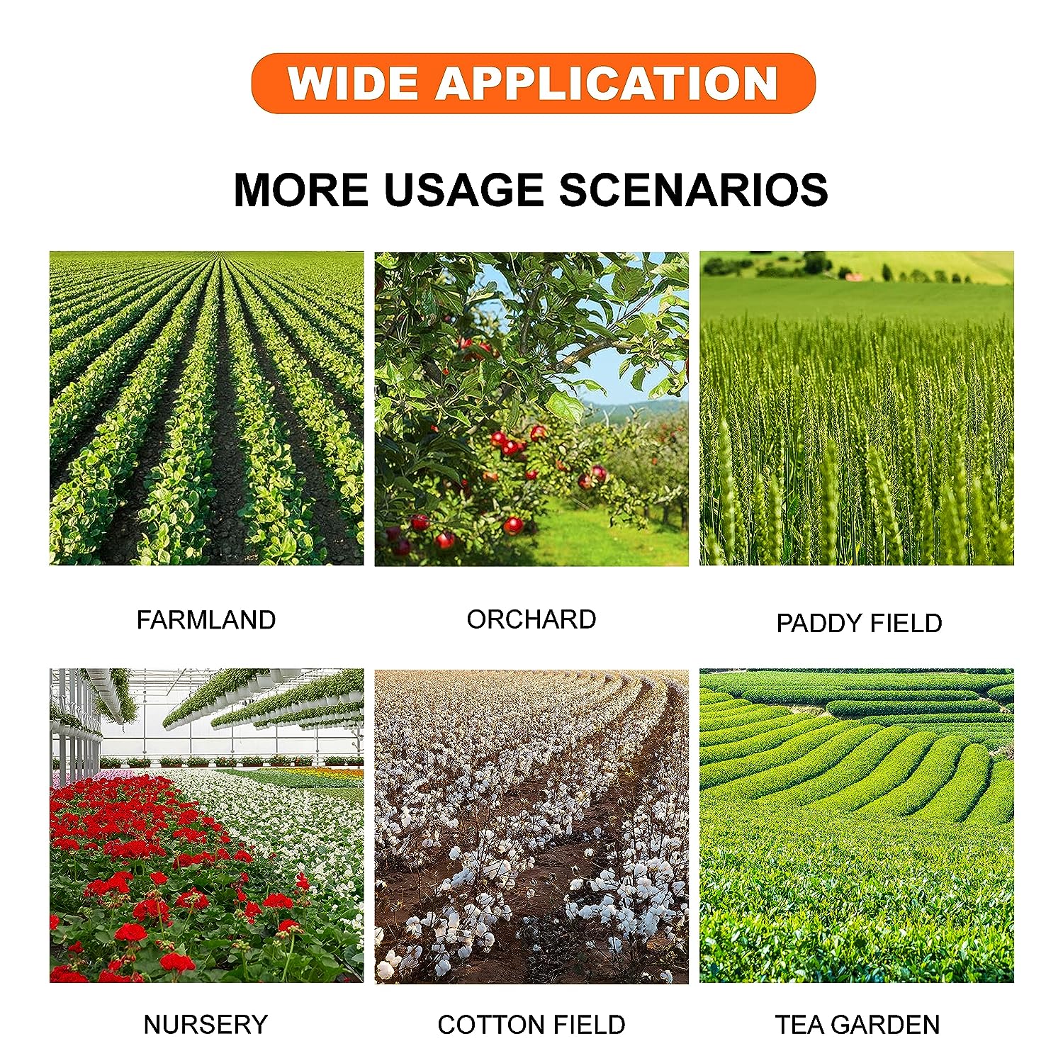 Neptune knapsack sprayer with 2 stroke engine NF-708 TU34 Engine