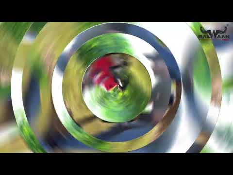 Balwaan Be-63 Earth Auger Without Bit