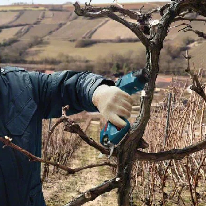 Bosch Pro Pruner Professional Cordless Secateur